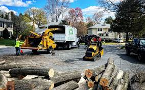 Best Leaf Removal  in Staic, CA